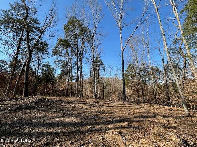 0 Dogwood Valley Rd | Lot 3, Kingston, TN 37763